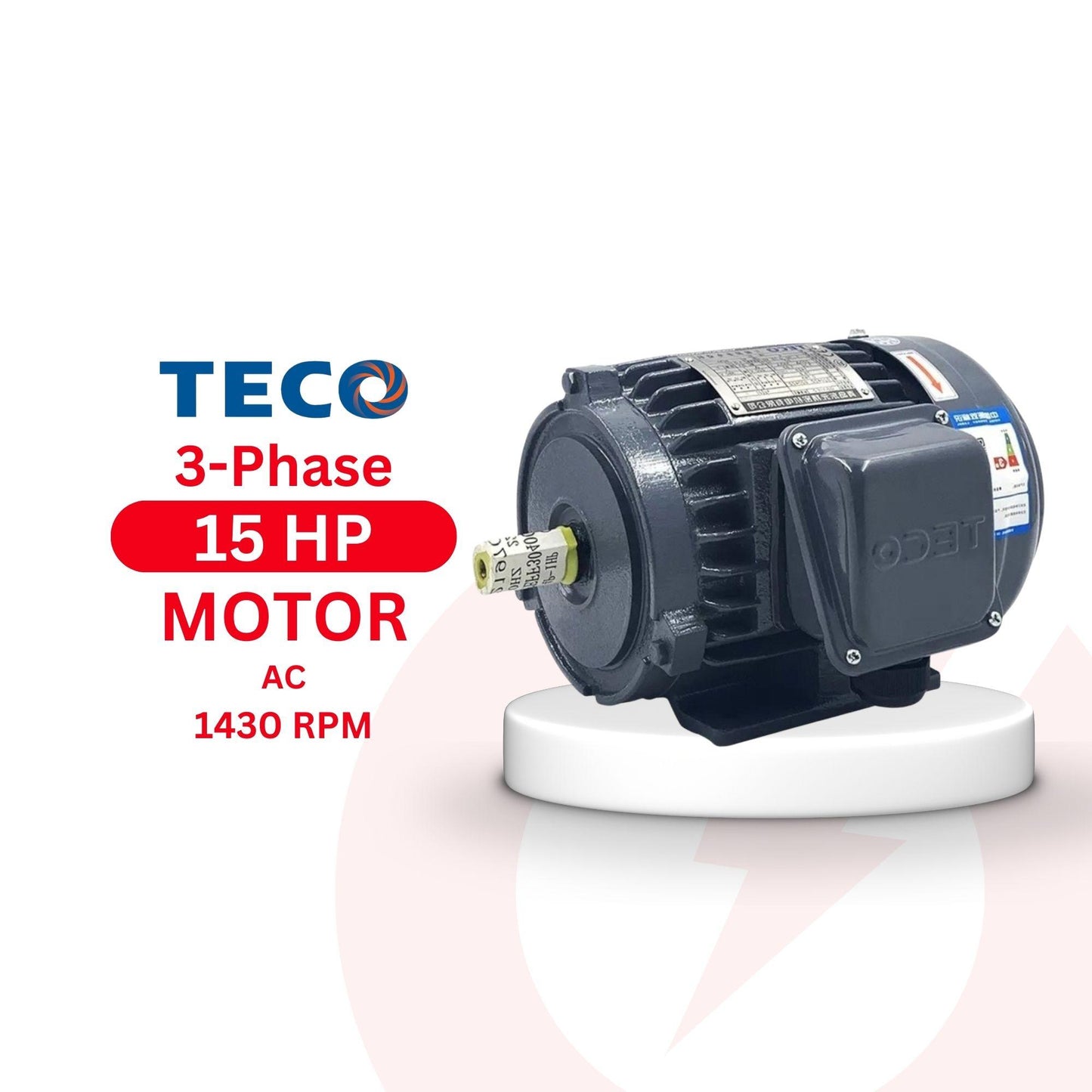 Teco 15HP Electric Motor