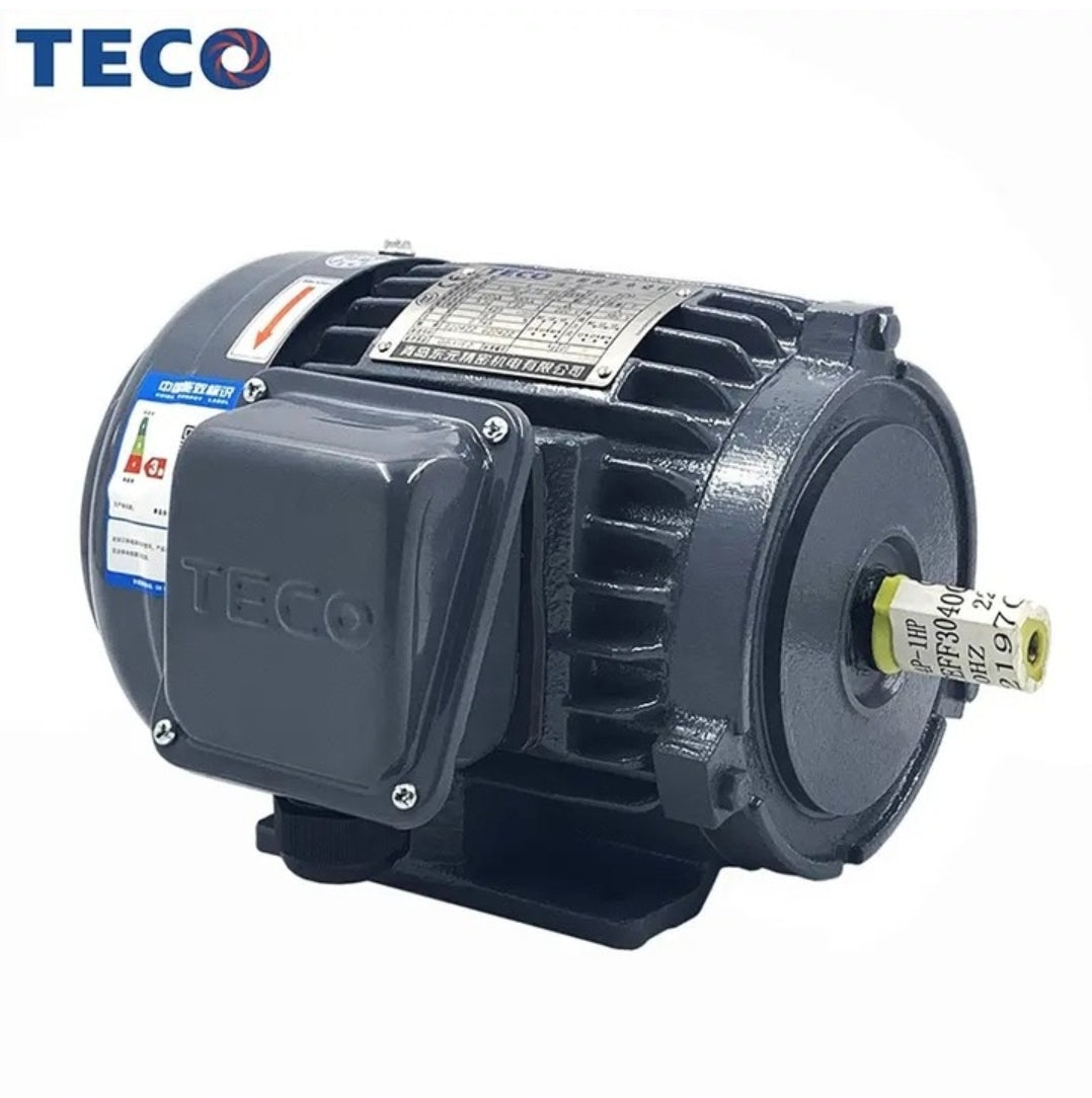 Teco 20HP Electric Motor Teco